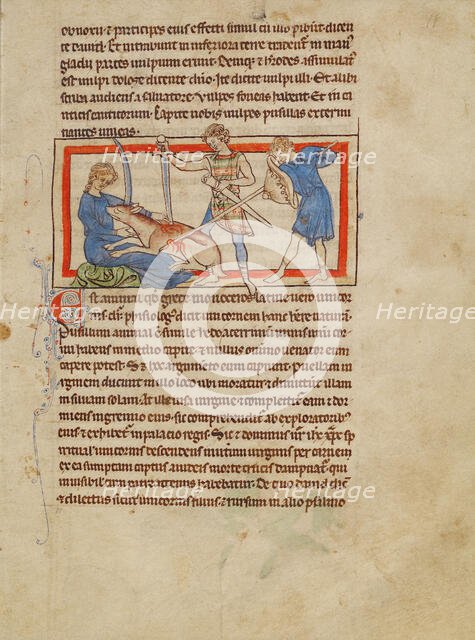 A Unicorn; Northumberland Bestiary, about 1250-1260. Creator: Unknown.