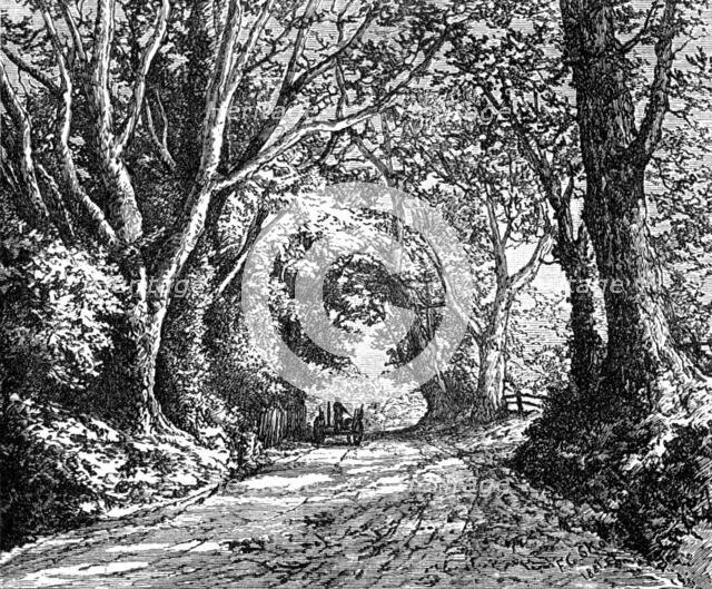 An English lane: from "Autumnal Leaves" (Sketches in the New Forest), 1881. Creator: James Davis Cooper.