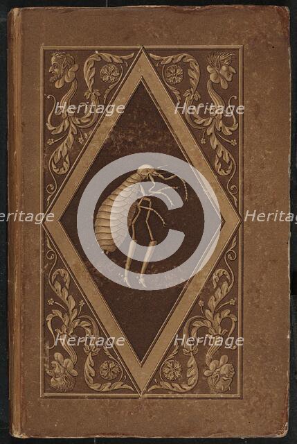 Meister Floh. Ein Marchen in sieben Abentheuern zweier Freunde (Master Flea..., 1822. Creators: Karl Friedrich Thiele, Ernst Theodor Amadeus Hoffmann.