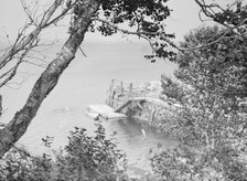 View of the coast off the Baldrige estate, 1931 July 25. Creator: Arnold Genthe.