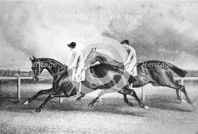 'Launcelot and Maroon', c1840s, (1911). Artist: Unknown.