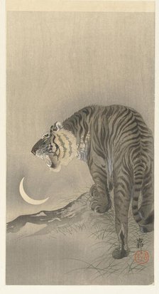 Roaring tiger. Creator: Ohara, Koson (1877-1945).