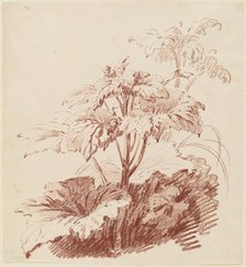 Flowering Plant with Buds, mid 1760s. Creator: Jean Baptiste Marie Huet.