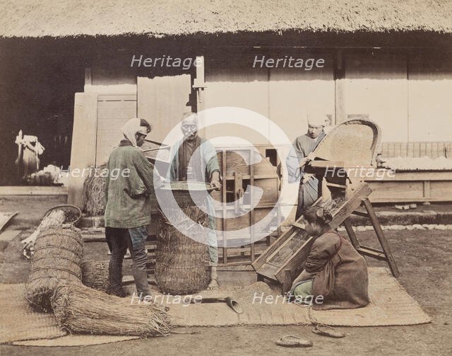 Sacking Grain, c1885. Creator: Unknown.