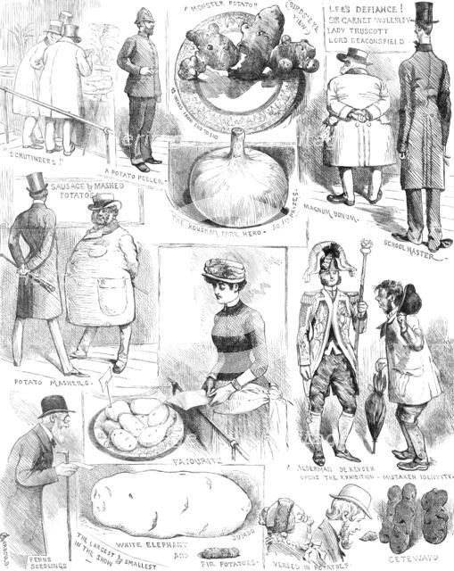 Sketches at the Crystal Palace Potato Show, 1883. Creator: Unknown.