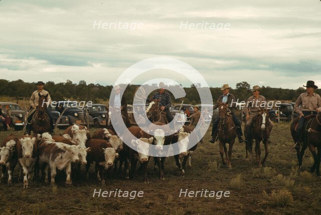 Driving calves into the corral for roping at the rodeo of the Pie Town, New Mexico Fair, 1940. Creator: Russell Lee.
