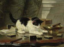 The cat at play, c.1860-c.1878. Creator: Henriette Ronner.