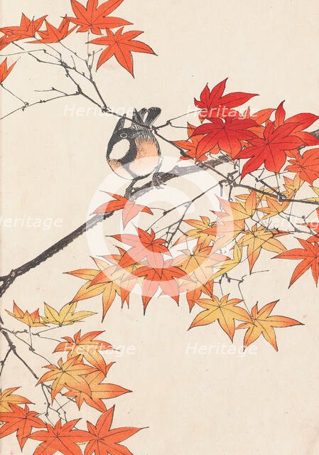 The Four Seasons Bird and Flower Albums (Keinen Kacho Gafu), 1891-1892. Creator: Keinen, Imao (1845-1924).