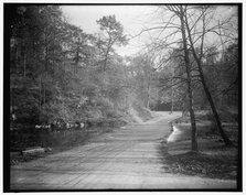 Rock Creek Park scenes, between 1910 and 1920. Creator: Harris & Ewing.