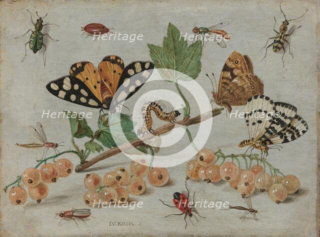 Insects and Fruit, c.1653-c.1661. Creator: Jan van Kessel.