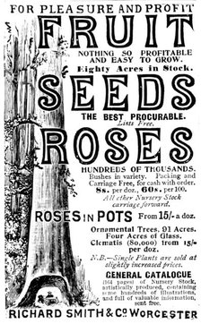 Advertisement for Richard Smith & Co's Fruit, Seeds and Roses, 1895. Creator: Unknown.