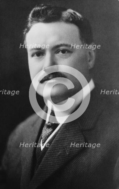 W. D'Arcy Ryan, between c1915 and c1920. Creator: Bain News Service.