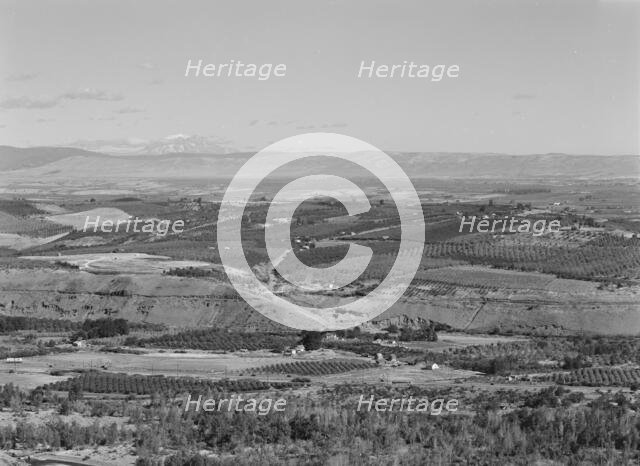 Possibly: Looking down on part of the Valley, approximately six miles from Yakima, Washington, 1939. Creator: Dorothea Lange.