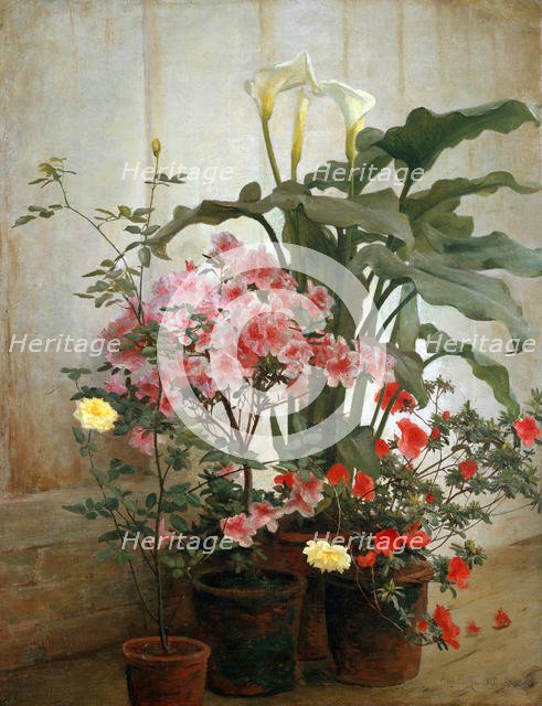 Side of a Greenhouse, 1870-80 (?). Creator: George Cochran Lambdin.