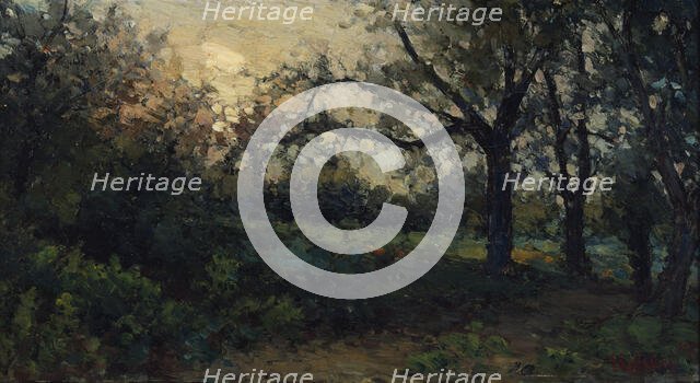 Evening sun, 1879. Creator: Per Ekstrom.