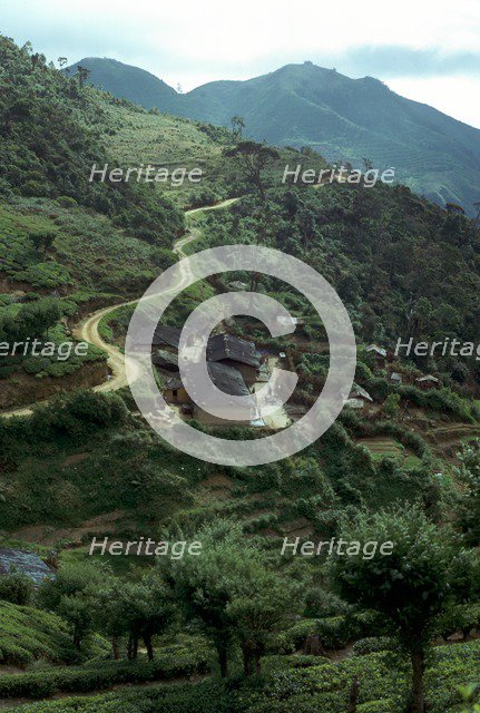 Sri Lanka, near west Haputale. Artist: CM Dixon Artist: Unknown