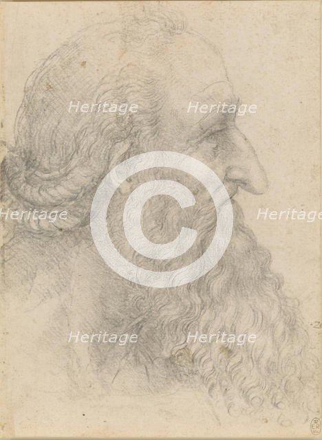The head of an old bearded man , ca 1517. Creator: Leonardo da Vinci (1452-1519).