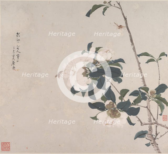 Insects and Flowers. Creator: Ju Lian.