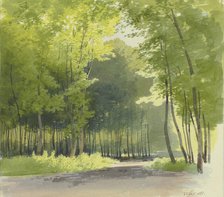 Forest section, 1855. Creator: Carl Theodor Reiffenstein.