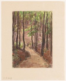Forest road through the hills at Baden-Baden, 1907. Creator: Carel Nicolaas Storm.