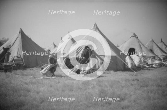 Possibly: Flood refugee encampment at Forrest City, Arkansas, ca. 1937. Creator: Walker Evans.