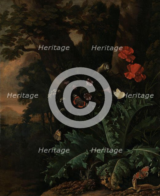 Butterflies and Flowers, between 1655 and 1673. Creator: Abraham Jansz Begeyn.