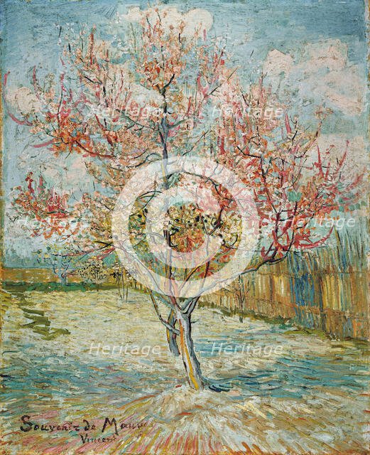 Pink peach trees ("Souvenir de Mauve") , 1888. Creator: Gogh, Vincent, van (1853-1890).