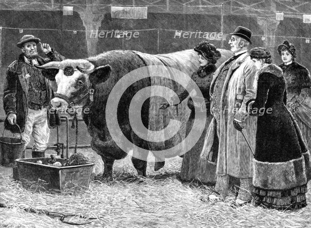 The Pleasure of Success, 1883. Creator: Unknown.