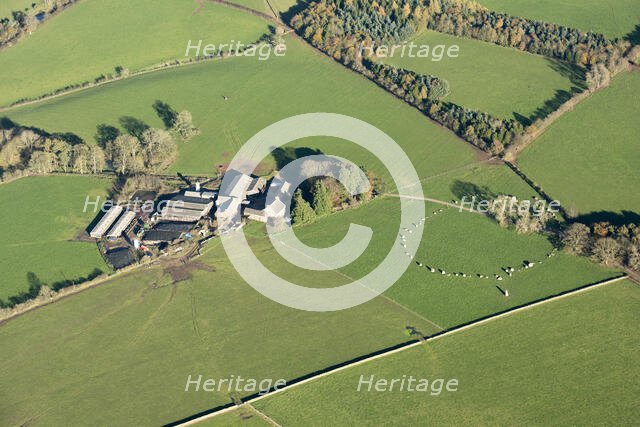 Long Meg and her Daughters, Cumbria, 2017. Creator: Emma Trevarthen.