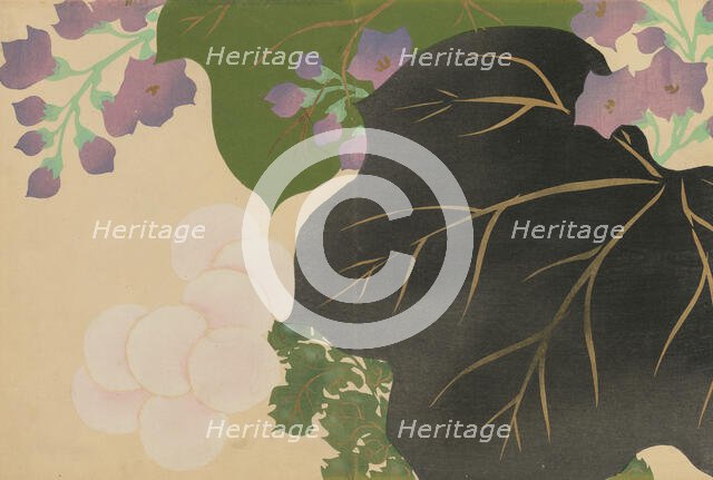 Kiku, Kiri (Chrysanthemum and Paulownia). From the series "A World of Things..., 1909-1910. Creator: Sekka, Kamisaka (1866-1942).