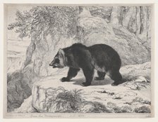 Mississippi Bear, 1836. Creator: Antoine-Louis Barye.