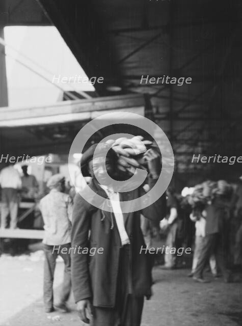 Unloading bananas, New Orleans, between 1920 and 1926. Creator: Arnold Genthe.