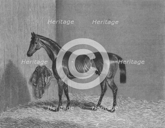 'Bloomsbury', 1836-1861, (1911). Artist: Unknown.