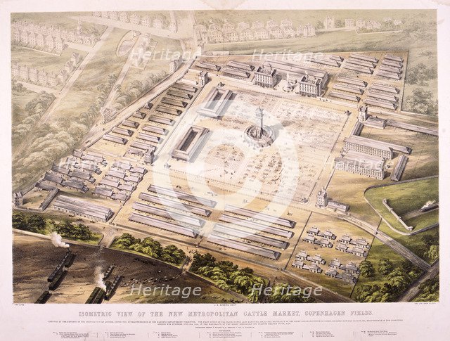 Metropolitan Cattle Market, London, 1855. Artist: King