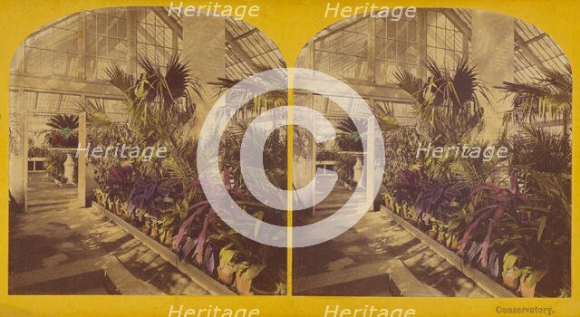 Conservatory. The President's House, Washington, D.C., 1873. Creators: C. Seaver, Jr., Charles Pollock.