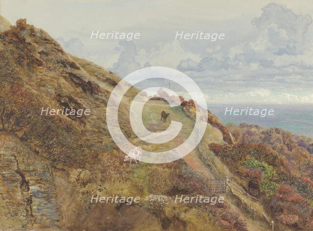 Bonchurch Downs, 1865. Creator: John Brett.