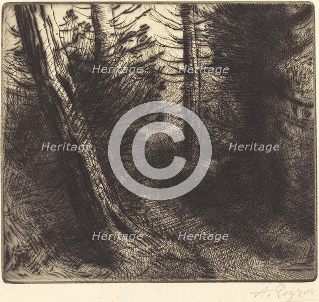 Path through the Woods (Sentier sous bois). Creator: Alphonse Legros.