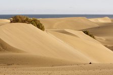 Maspalomas sand dunes, Gran Canaria, Canary Islands, Spain.