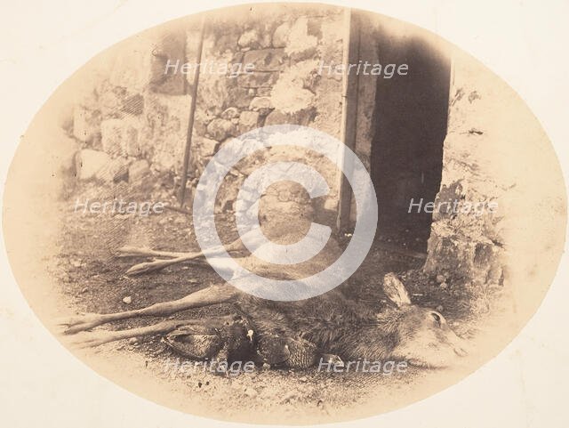 Dead Female Deer and Game Bird, ca. 1856-59. Creator: Horatio Ross.