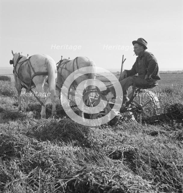 Mr. Roberts, FSA borrower, Owyhee project, Malheur County, Oregon, 1939. Creator: Dorothea Lange.