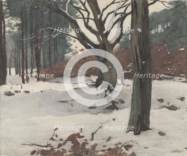 Trees in the snow, c.1870-c.1923. Creator: Willem Witsen.