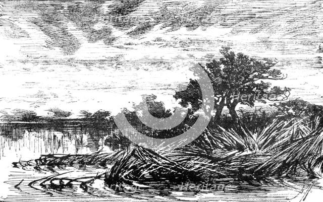 Opening Day by Keeley Halswelle:...Institute of Painters in Oil Colours, 1883. Creator: Unknown.