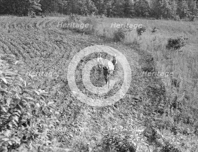 The older brother teaches the younger on a farm in the Piedmont, North Carolina, 1936. Creator: Dorothea Lange.