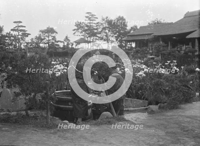 Travel views of Japan and Korea, 1908. Creator: Arnold Genthe.