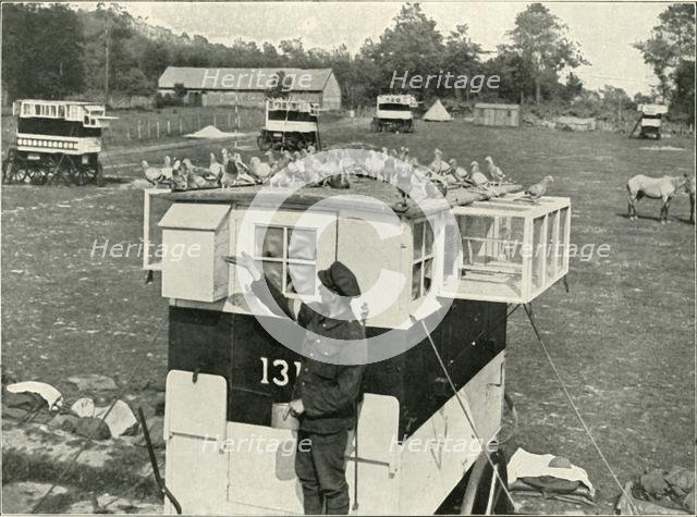'British Army Carrier Pigeons in France: Horse-Drawn Lofts', (1919).  Creator: Unknown.