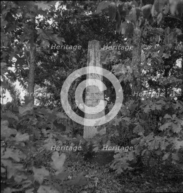 Family burial ground on the abandoned Pharr Plantation near Social Circle, Georgia, 1937. Creator: Dorothea Lange.