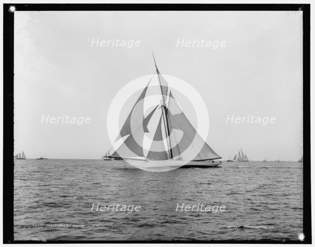 Mayflower, 1888 Aug 10. Creator: Unknown.