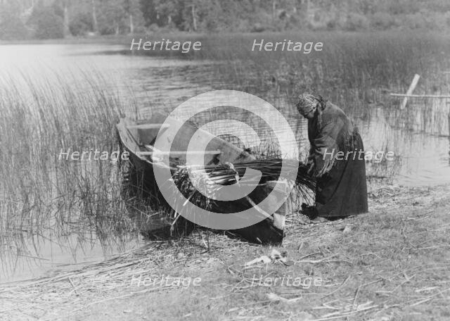 The tule gatherer, c1910. Creator: Edward Sheriff Curtis.