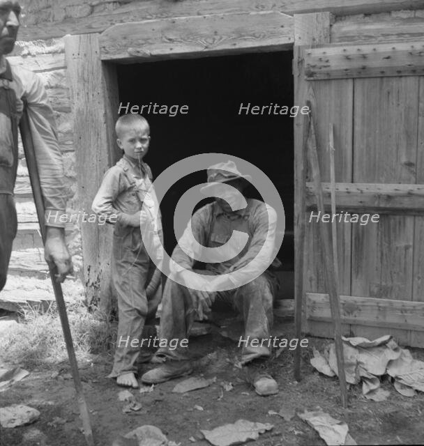 Tobacco people take it easy after their morning's work..., Granville County, North Carolina, 1939. Creator: Dorothea Lange.