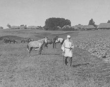 Count Lev Nikolayevich Tolstoy walking.